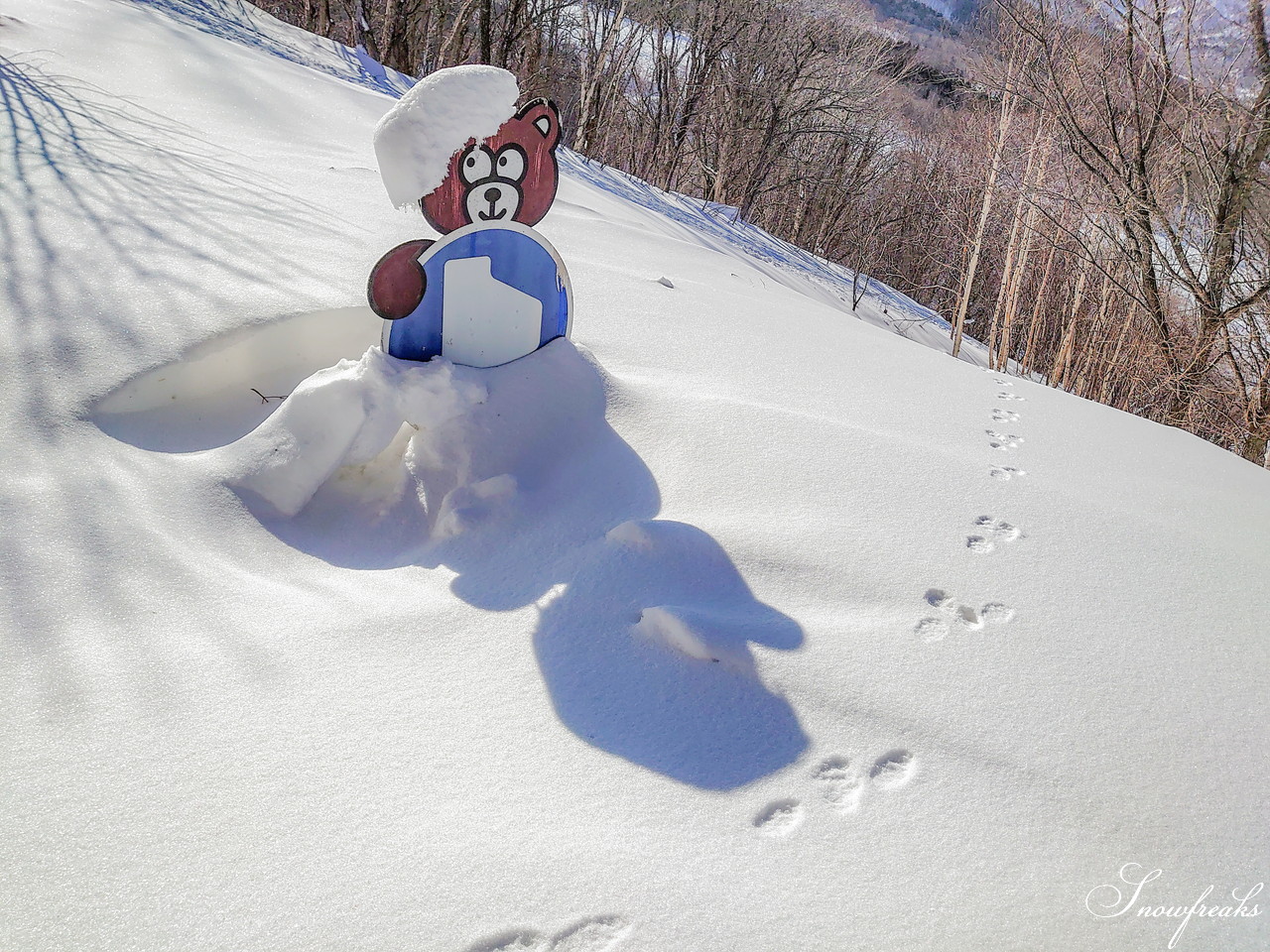 増毛町営暑寒別岳スキー場 日本海と雄大な暑寒別岳の大自然に抱かれた、絶景のローカルゲレンデを滑る！